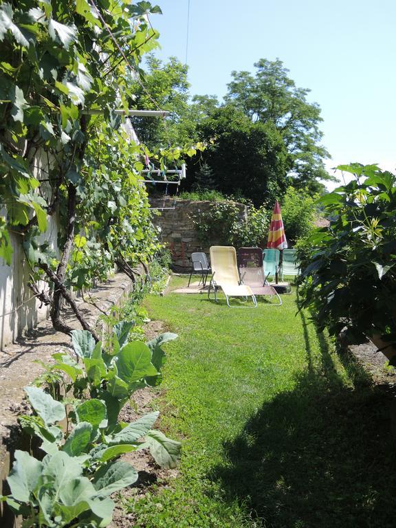 Pension Hamry Vranov nad Dyji Luaran gambar